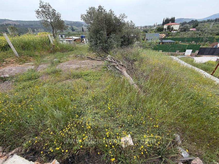 300 M2 Großes Grundstück Zum Verkauf In Seferihisar Doğanbey Kavakdere.