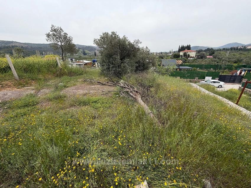 300 M2 Großes Grundstück Zum Verkauf In Seferihisar Doğanbey Kavakdere.