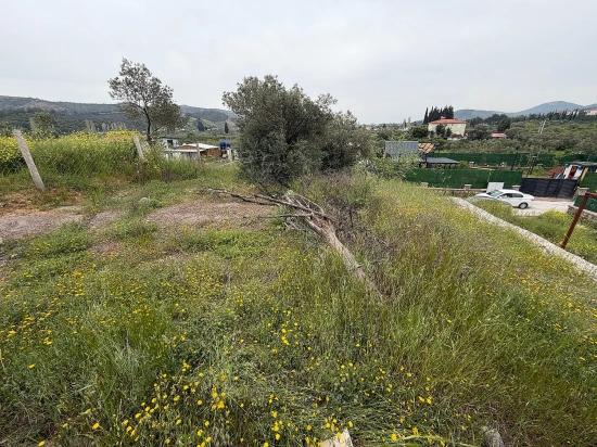 In Seferihisar Doğanbey Kavakdere Zu Verkaufen 300 M2 Kupon Grundstück