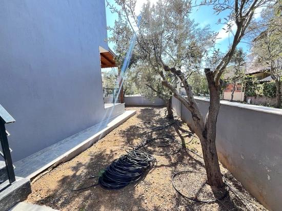 Brandneue, Freistehende 3+1-Zimmer-Villa Mit Großem Garten In Seferihisar Doğanbey Zu Verkaufen