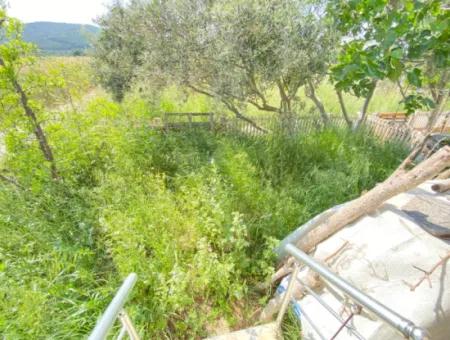 3 1 Sommerhaus Zu Verkaufen Mit Großem Garten In Doganbey, Seferihisar