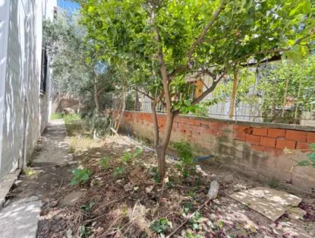 250 M Zum Meer In Ürkmez, Erschwinglicher Preis Zu Verkaufen 3 1 Wohnung Mit Garten