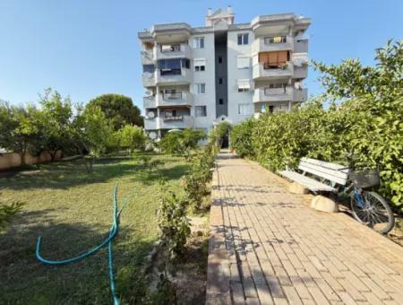 Breiter Erschwinglicher Preis Mit Aufzug Zum Verkauf In Seferihisar Ürkmez 3 1 Wohnung