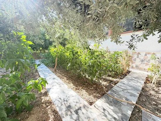 Ürkmez In Doğanbey Luxury-built, Spacious and Comfortable 3+1 Villa