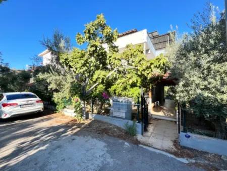 3 1 Villas With Garden For Sale At Affordable Prices Close To The Sea In Doganbey