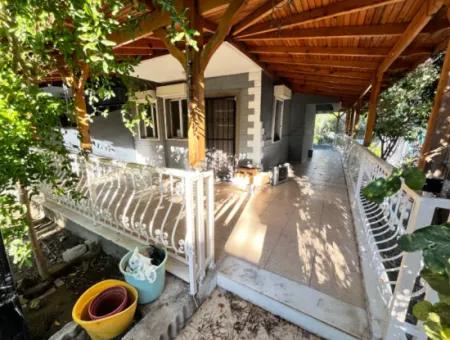 3 1 Villas With Garden For Sale At Affordable Prices Close To The Sea In Doganbey