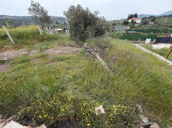 Seferihisar Doğanbey Kavakdere De Satılık 300 M2 Kupon Arsa