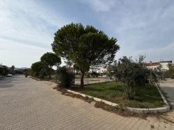 Seferihisar Doğanbey Merkez'de Acil Satılık Geniş Bahçeli 3+1 Villa